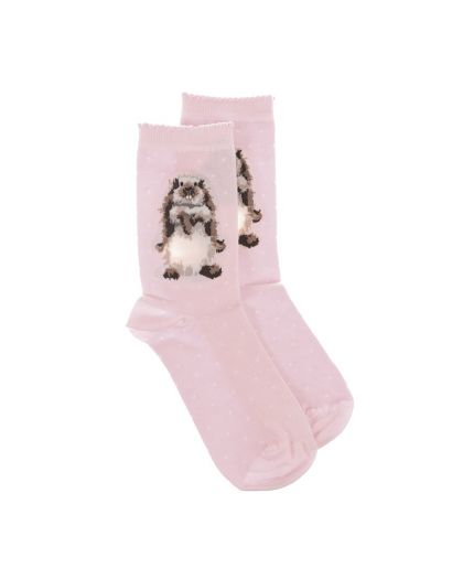 SOCK001.jpg