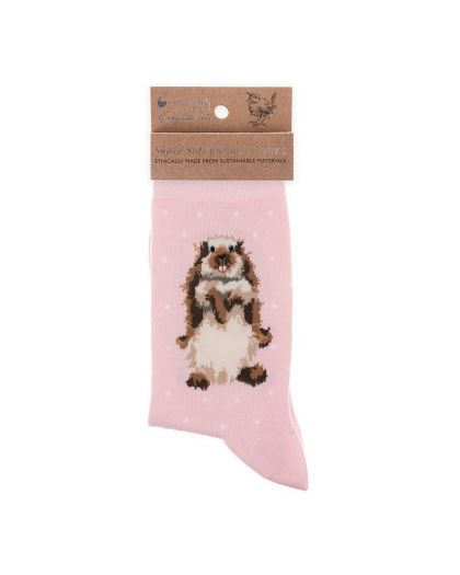 SOCK001.jpg