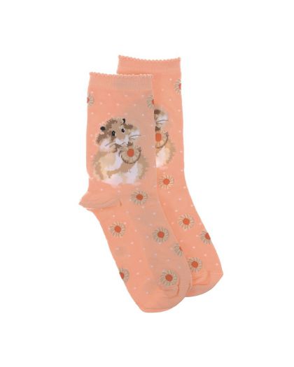 SOCK012.jpg