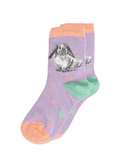 SOCKC003.jpg