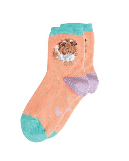 SOCKC012.jpg